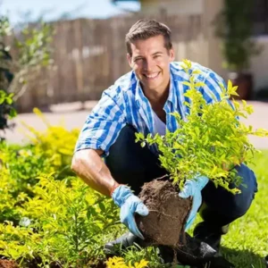 2026🏆✨LAST DAY SALE 70% OFF🔥Seasonal Promotion🔥-Soil Pro Activator