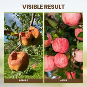 2026🏆✨LAST DAY SALE 70% OFF🔥Seasonal Promotion🔥-Soil Pro Activator