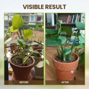 2026🏆✨LAST DAY SALE 70% OFF🔥Seasonal Promotion🔥-Soil Pro Activator