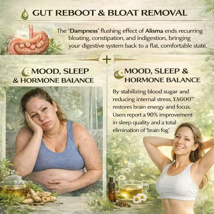 YAGOO™ 10-in-1 Ancient Japanese Navel Patch: The Ultimate Metabolic Reset for Permanent Fat Elimination(🌎Free shipping worldwide)