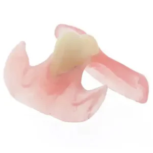 Yagoo® - Premium Denture