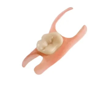 Yagoo® - Premium Denture