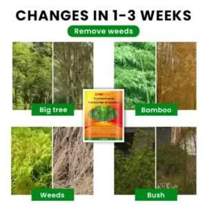 LIMETOW® Cyclosinone Herbicide Granules