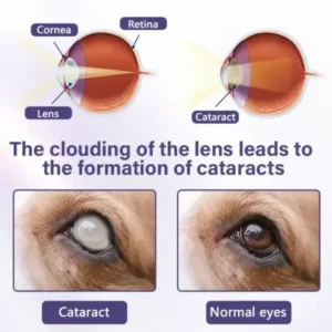Timilk® NanoCare Pet Eye Drops