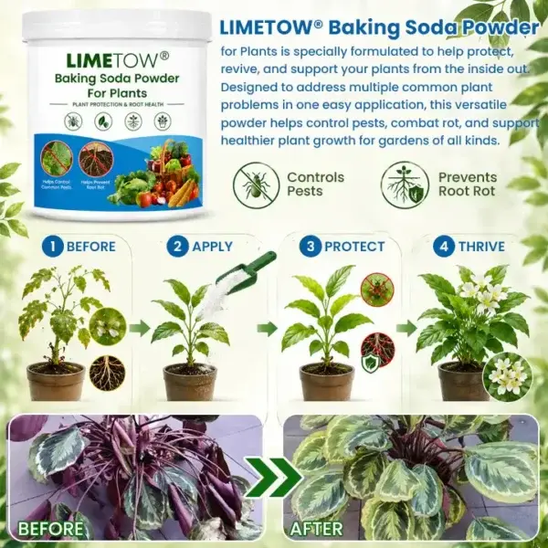 LIMETOW® Baking Soda Powder for Plants